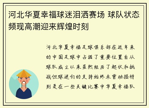 河北华夏幸福球迷泪洒赛场 球队状态频现高潮迎来辉煌时刻