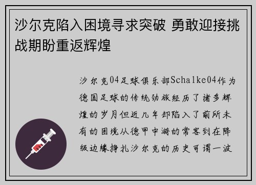 沙尔克陷入困境寻求突破 勇敢迎接挑战期盼重返辉煌