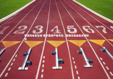 爱游戏体育在线-里尔遭遇严峻考验，联赛征程面临关键转折