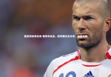 爱游戏体育在线-葡萄牙出击，欧预赛壮志长存，战绩可期