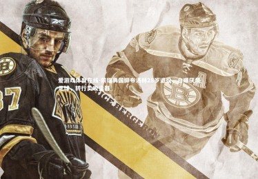 爱游戏体育在线-前瑞典国脚布洛林28岁退役，自曝厌倦足球，转行卖吸尘器