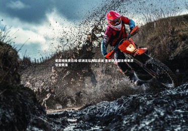 爱游戏体育在线-欧洲足坛再起波澜 多家俱乐部主帅更迭引发震荡