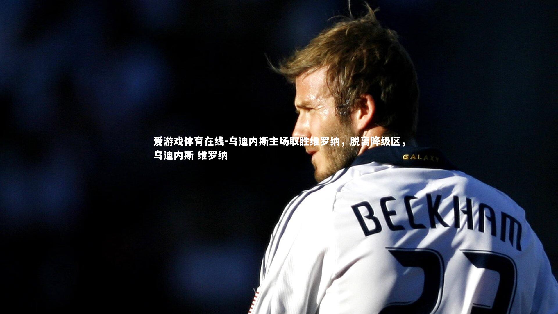 乌迪内斯主场取胜维罗纳,脱离降级区,乌迪内斯 维罗纳