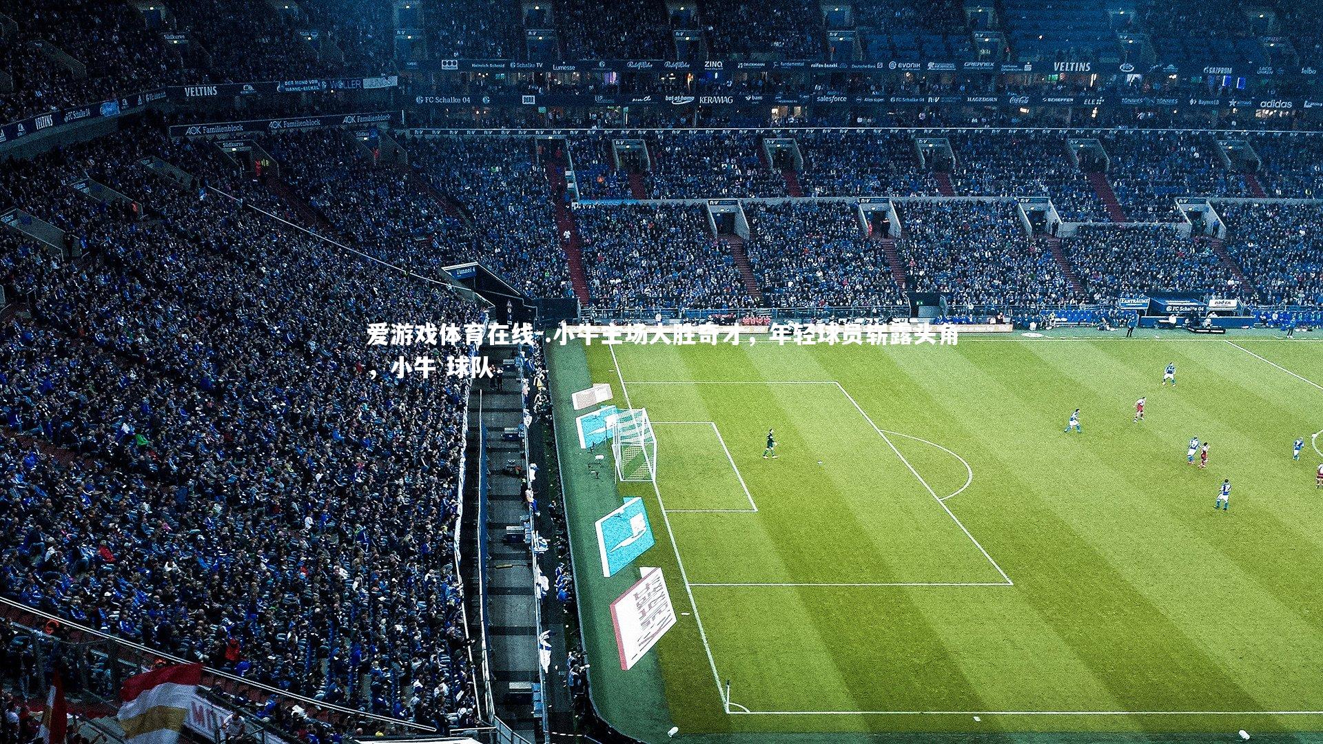 .小牛主场大胜奇才,年轻球员崭露头角,小牛 球队